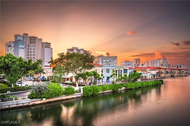 property view of water featuring a view of city