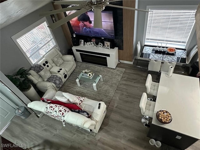 living room with hardwood / wood-style flooring and ceiling fan