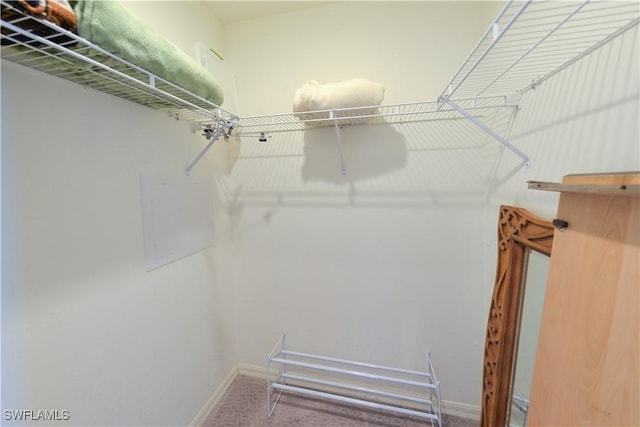 spacious closet with carpet flooring