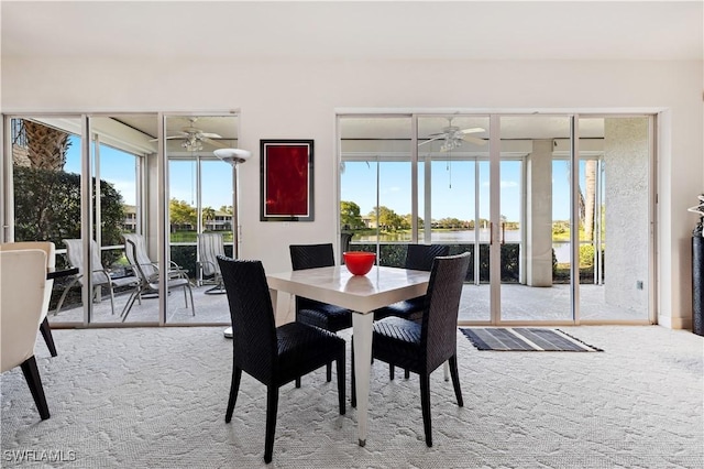 dining room with ceiling fan and carpet flooring