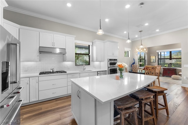 kitchen with under cabinet range hood, stainless steel appliances, a sink, ornamental molding, and decorative backsplash