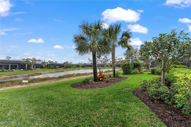 view of yard with a water view