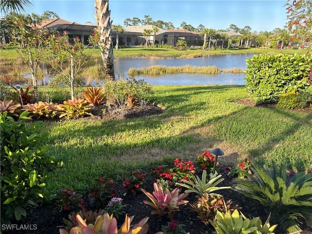 view of yard with a water view