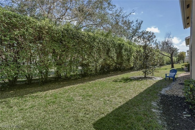 view of yard