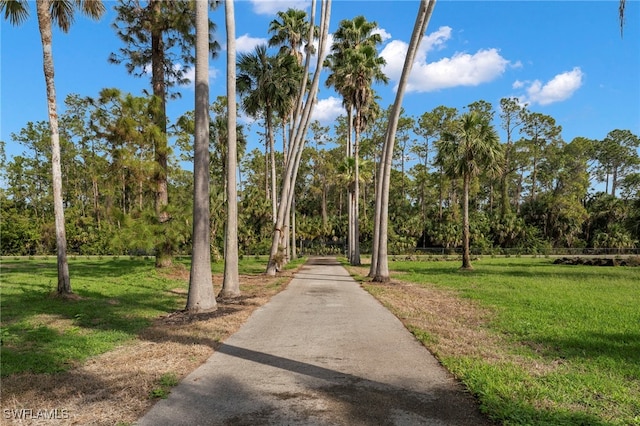 view of community featuring a yard