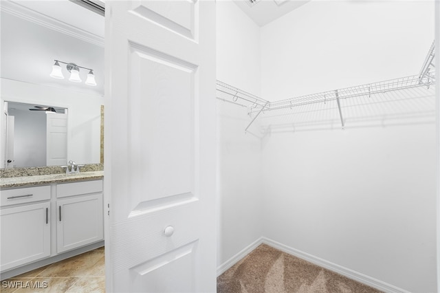 spacious closet featuring light colored carpet and a sink