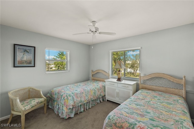 bedroom featuring multiple windows, carpet, and a ceiling fan