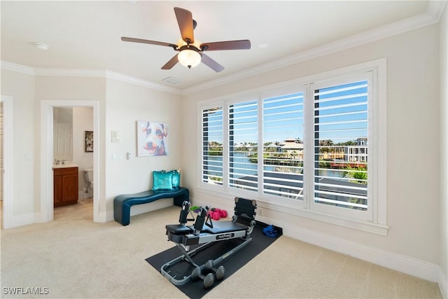 exercise room with baseboards, ornamental molding, a sink, and light colored carpet