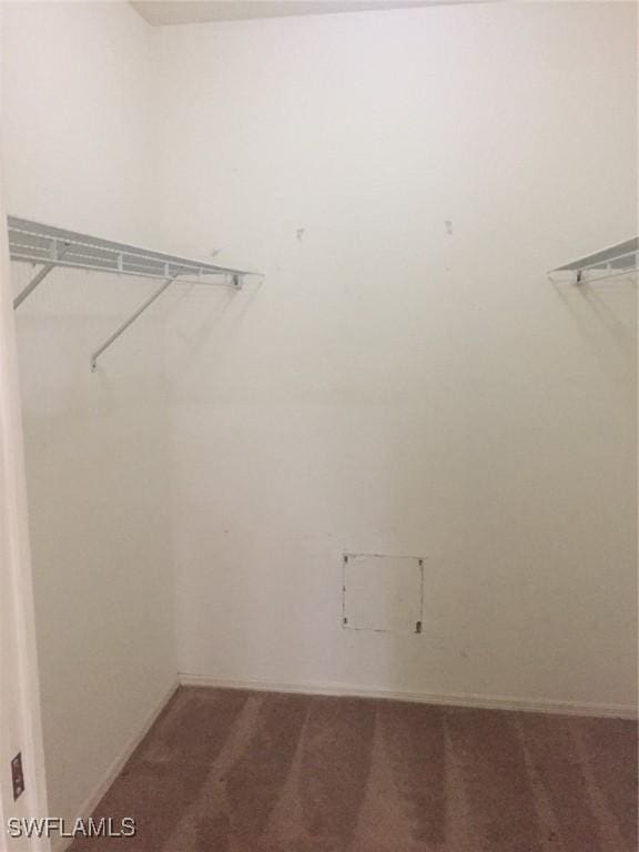 14801 Park Lake Dr Unit 203, Fort Myers, FL 33919 - walk in closet featuring carpet