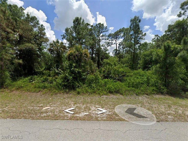 Listing photo 2 for 3802 E 14th St, Lehigh Acres FL 33972