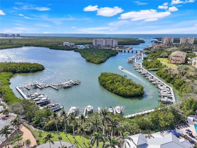 bird's eye view with a water view