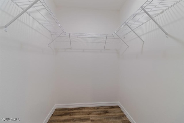 spacious closet with dark wood-style floors