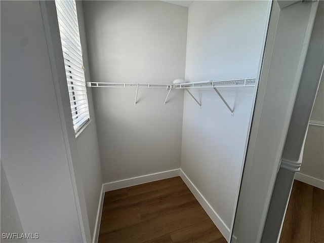 walk in closet with dark wood-style flooring