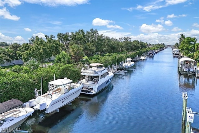 dock area featuring a water view