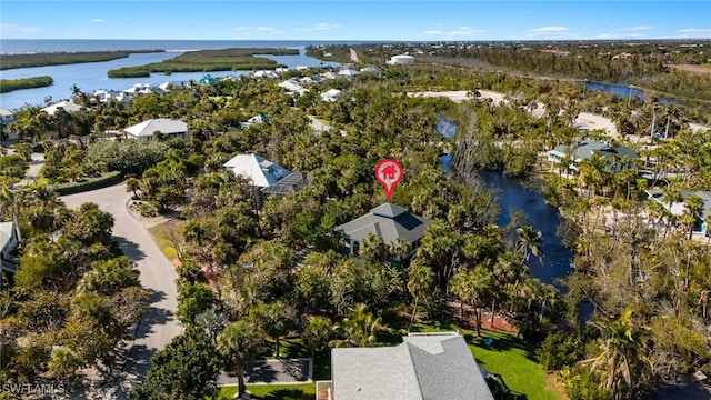 aerial view with a water view and a view of trees