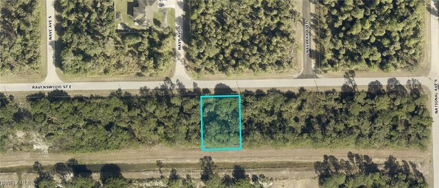 1140 Ravenswood St E, Lehigh Acres FL, 33974 land for sale