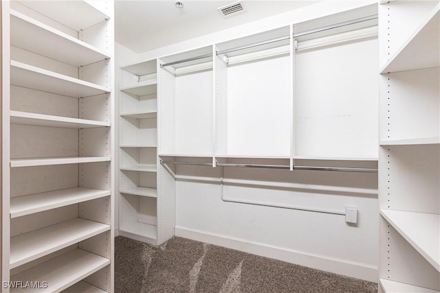 spacious closet with visible vents and carpet flooring