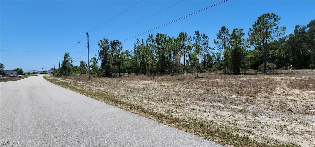 316 Petite Ave, Lehigh Acres, FL 33974 - photo 3