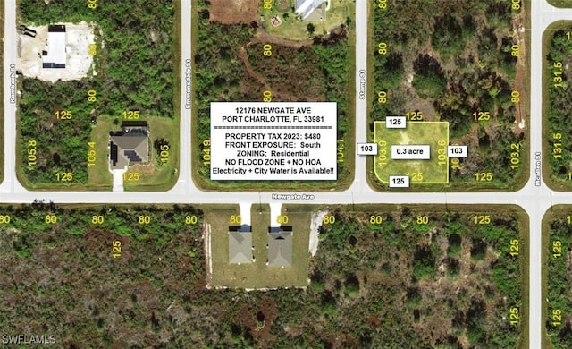 12176 Newgate Ave, Port Charlotte FL, 33981 land for sale