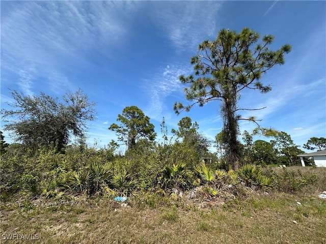 Listing photo 3 for 3408 8th St SW, Lehigh Acres FL 33976