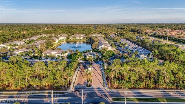 bird's eye view featuring a water view and a forest view