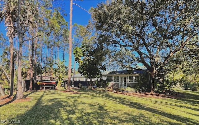 view of yard