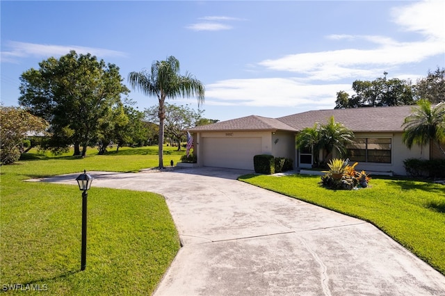 ranch-style house featuring an attached garage, driveway, a front yard, and stucco siding