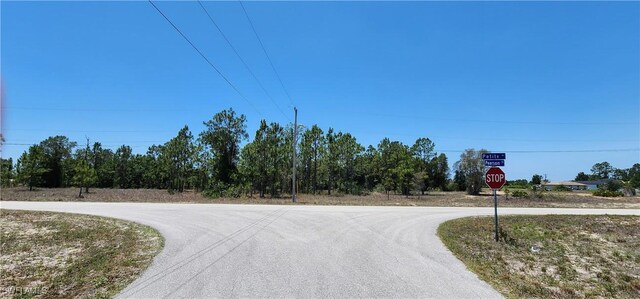 318 Petite Ave, Lehigh Acres, FL 33974 - photo 1