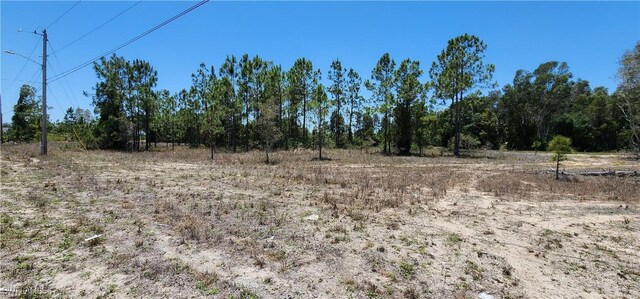 318 Petite Ave, Lehigh Acres, FL 33974 - photo 3