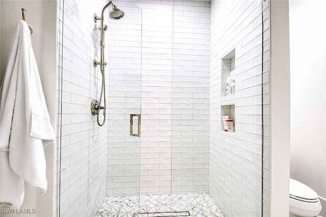 bathroom with a stall shower and toilet