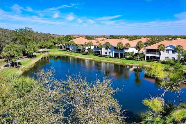 water view with a residential view