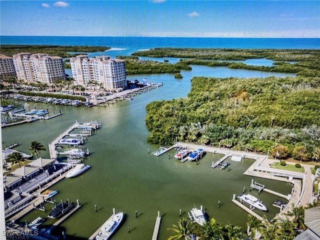 aerial view with a water view