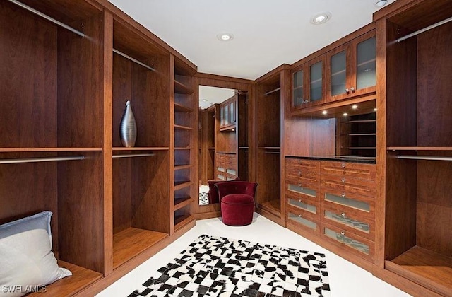 view of walk in closet