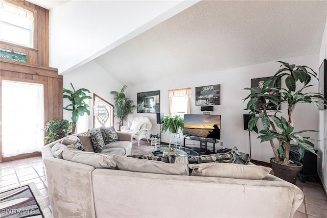 living room with lofted ceiling and a textured ceiling