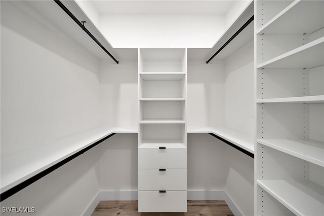 walk in closet featuring wood finished floors