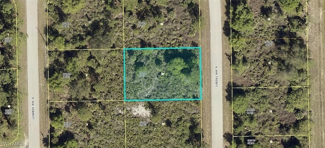 314 Lubdel Ave S, Lehigh Acres FL, 33974 land for sale