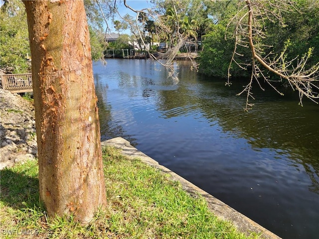 27253 Rio Vista Cir, Bonita Springs, FL 34135 - water view