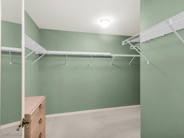 walk in closet with light colored carpet