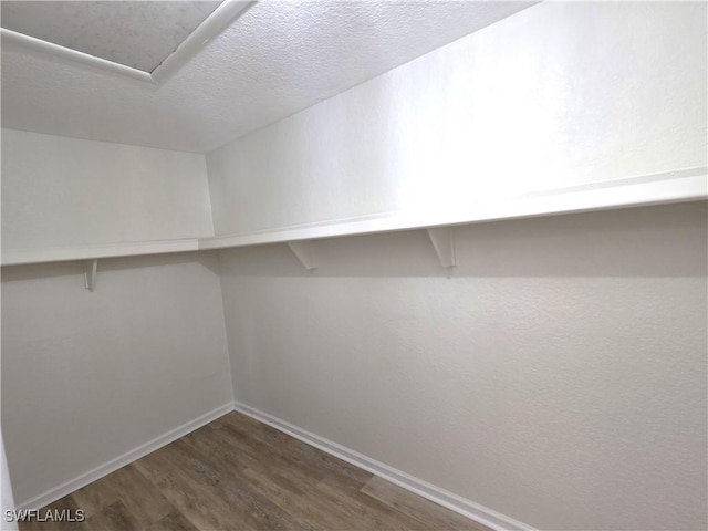 walk in closet featuring dark wood-style floors