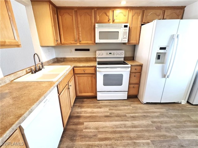 kitchen featuring brown cabinets, light countertops, light wood-style floors, a sink, and white appliances