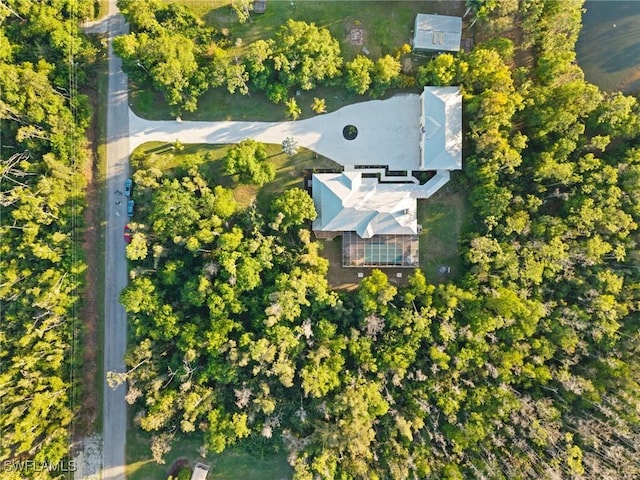 aerial view