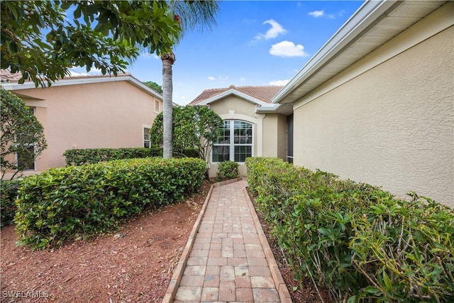 doorway to property featuring stucco siding