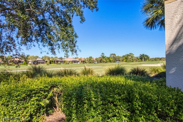 3111 Meandering Way Unit 101, Fort Myers, FL 33905 - view of yard