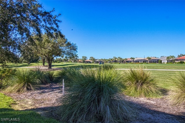 3111 Meandering Way Unit 101, Fort Myers, FL 33905 - view of yard