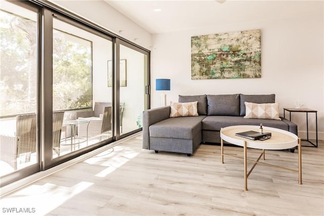 living room with light wood-style flooring