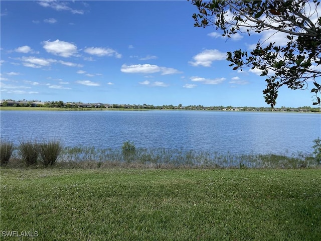 view of water feature