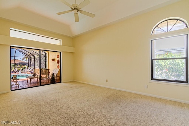 spare room with plenty of natural light, carpet, and baseboards