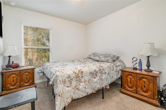 bedroom featuring carpet