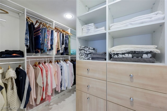 view of spacious closet