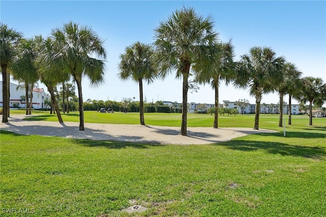 view of home's community featuring a yard